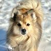casey_107